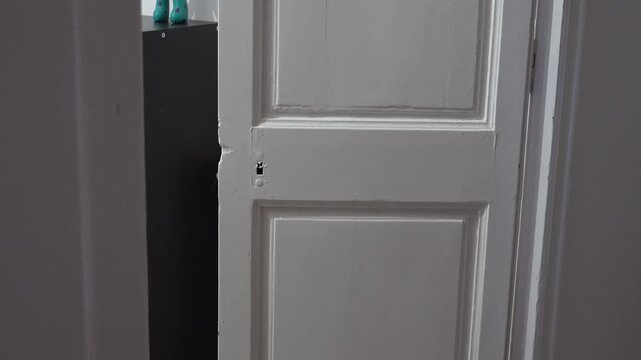 person opening and closing a door. High quality 4k footage