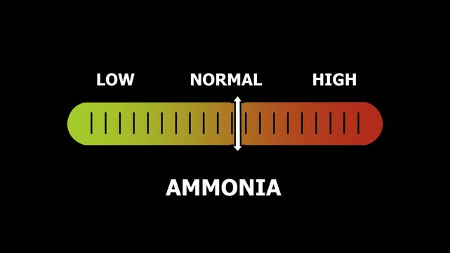 AMMONIA level indicator scale. Low normal & high meter infographic animation. Showing high selenium level color gauge indicator. on a black background 4k ammonia video