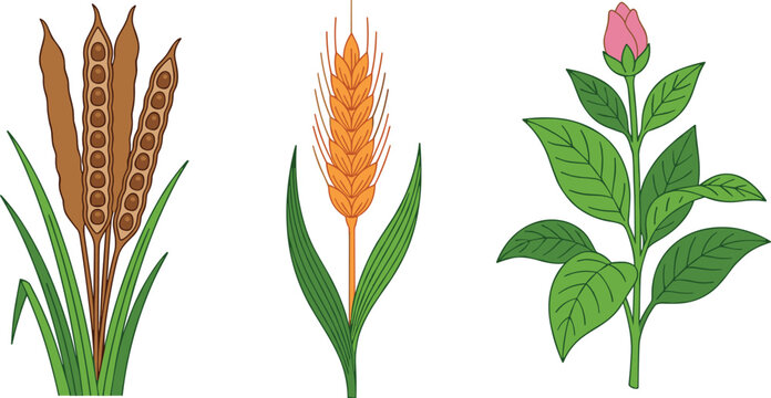 Cartoon agricultural grain and pink rosebud flower vector set with simple plant icons