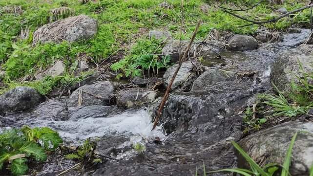 Clear mountain stream water flowing over rocks in Svaneti, fresh natural environment, river energy, bubbling current