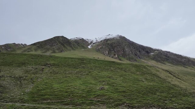Rugged alpine landscape in Svaneti Georgia with grassy mountain slopes and snow capped peaks under overcast sky, mountain hiking and tourism