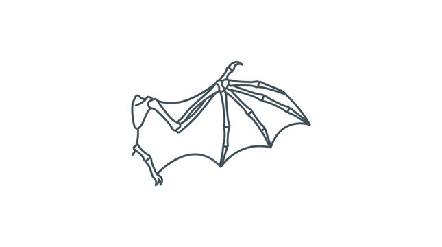 Bat Wing Skeleton Outline Vector