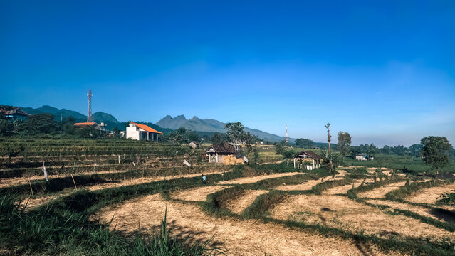 Scenic view of terraced farming fields and traditional village houses with mountain backdrop