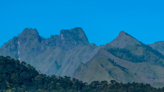 Majestic Blue Mountain Range and Lush Green Forest Under a Clear Blue Sky Landscape