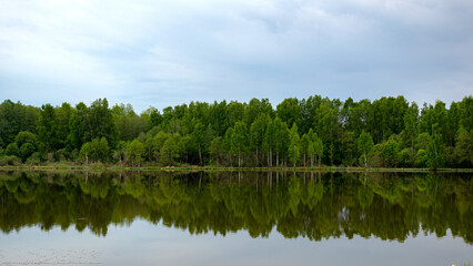 Fototapeta premium landscape with a lake, the soft green leaves on the trees reflect the water of the calm lake, spring