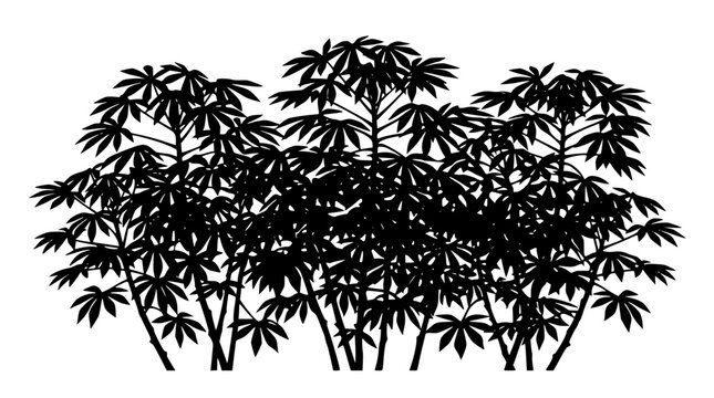 Black silhouette of cassava plants isolated on white background