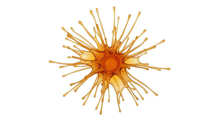 Obraz premium Neuron cell with dendrites, neuroscience, microscopic view