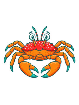 Cartoon crab with orange shell and green tips on transparent background