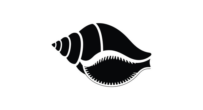 Black seashell silhouette on a white background silhouette