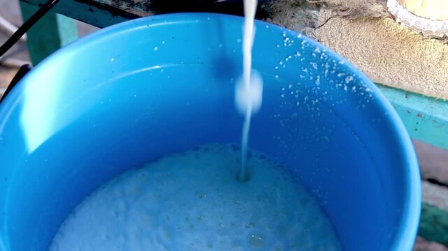 Equipment for the production of dairy products. A separator for distilling milk in rural areas. Delicious homemade dairy products.