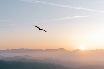 Obraz premium The Bird Soaring Over a Sunrise Horizon at Distant Morning Light
