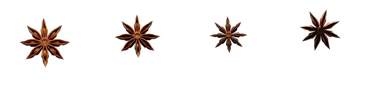 Four dried star anise spices arranged in a row against a black background