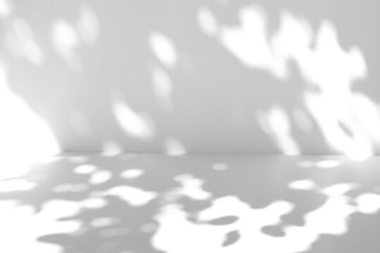Tree leaf shadow overlay on the wall and floor isolated on a transparent background PNG