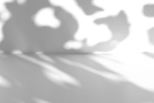 Tree leaf shadow overlay on the wall and floor isolated on a transparent background PNG