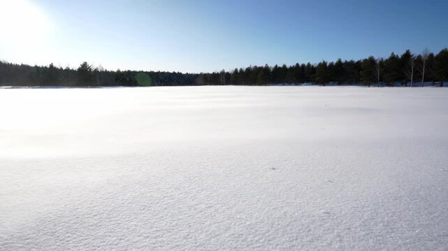 Panoramic view of winter snow forest, snowfield forest sea scenery
