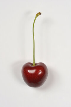 A top view of a single fresh sweet red cherry with its long green stem attached placed on a plain white surface