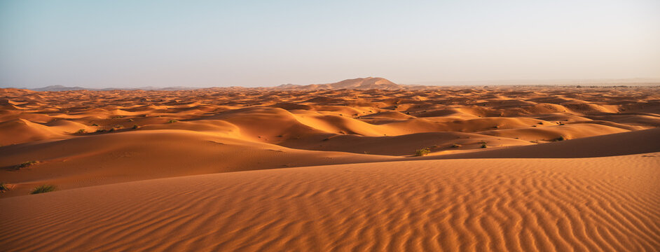 Visitors walk across vast sand dunes in Erg Chebbi, Morocco. The sun sets over the Sahara Desert, casting long shadows and highlighting the ripples in the sand.