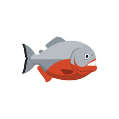 Fototapeta premium Aggressive Red Belly Piranha Fish Vector Illustration with Sharp Teeth and Predator Features Isolated Design