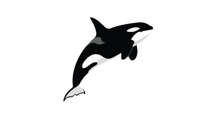 Naklejka premium Orca Killer Whale Jumping Marine Wildlife Silhouette Vector Illustration Isolated On White Background Asset