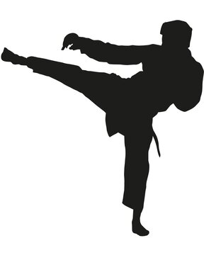 silhouette of a man kicking
