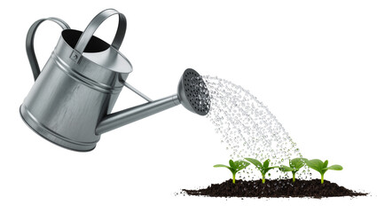 Metal watering can pouring water on young green seedlings growing in soil © Michal