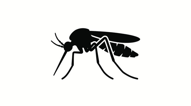 Mosquito insect silhouette depicts a common pest known for biting and spreading disease in tropical environments.