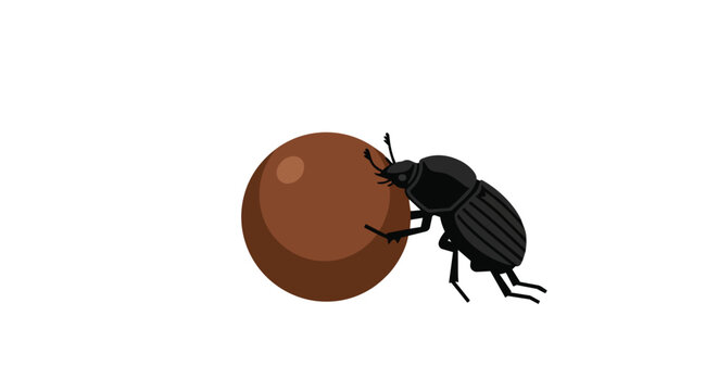 Black Dung Beetle Rolling a Brown Manure Ball Vector Illustration Isolated on White Background Graphic
