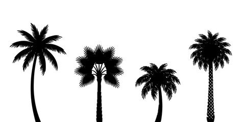 Fototapeta premium Palm Tree Silhouettes in Black with Different Crown Shapes, Straight Trunks, and Stylized Fronds on White Background