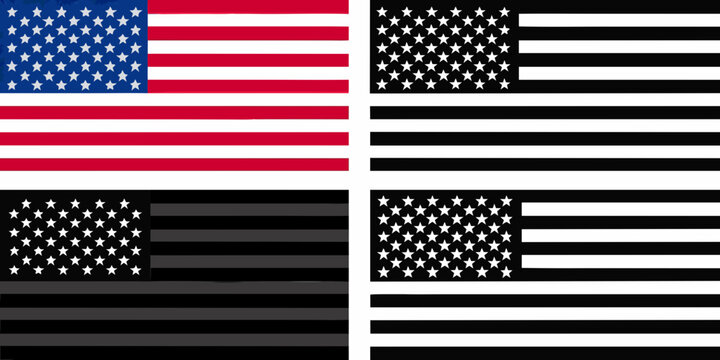 Variations Of The American Flag In A Flat Vector Style Displaying Different Color Schemes