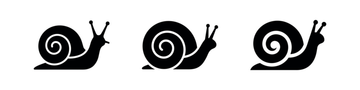 Snail Icons with Shells in Various Views