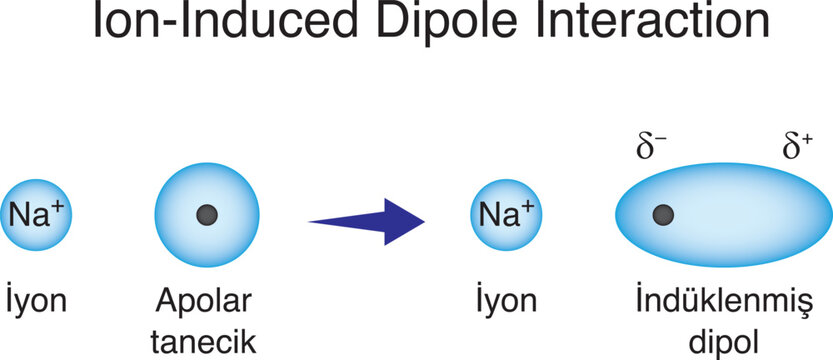 lon-induced dipole interaction is an intermolecular attractive force that occurs betwen an ion and a nonpolar (molecule without a permanent dipole molecule. Intermolecular interactions.