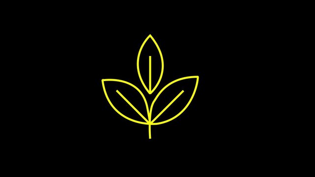 Leaves illustration depicts a stylized botanical symbol rendered in thin yellow lines against a solid black background to represent organic growth and sustainability concepts in a modern graphic.