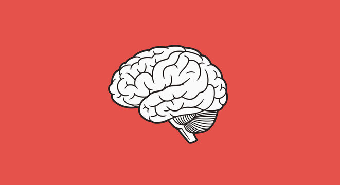 Brain illustration with black outline on a coral red background