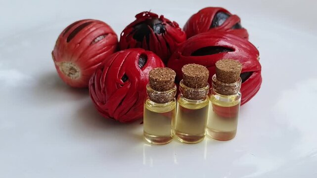 Nutmeg, mace or myristica spice fruit seed extract syrup, essence or herbal oil inside small glass bottle isolated on white table background. Organic spicy flavor food seasoning and aromatic condiment