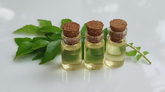 Murraya, sweet neem or curry leaves extract syrup, essence or herbal oil inside small glass bottle isolated on white table background. Traditional naturopathy and ayurveda treatment natural medicine.