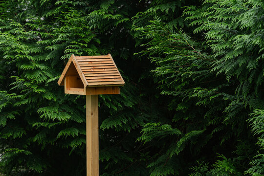 Wooden birdhouse stands among green trees in a quiet area