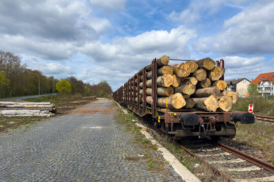 Logs transported on a train near a quiet railway track in spring