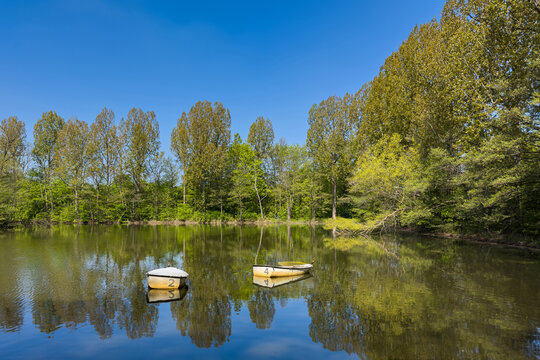 Bright day at the lake with boats and trees on the shore