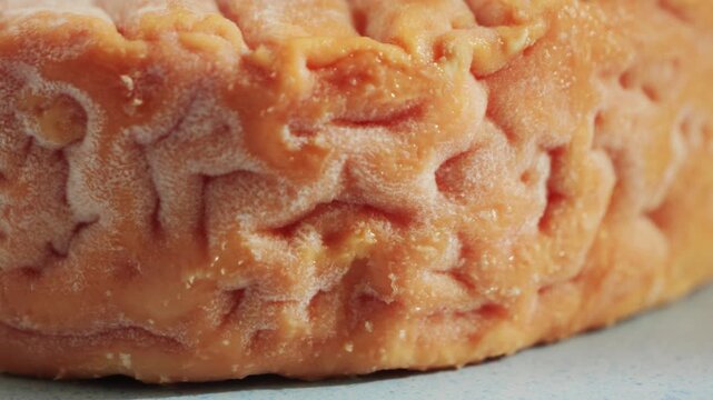 Epoisses cheese is a French soft, washed-rind cheese produced in Burgundy.