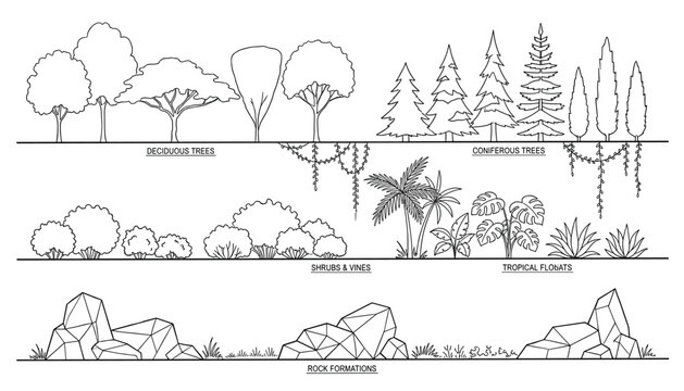Line art vector set of landscape elements trees shrubs vines tropical plants and rock formations.