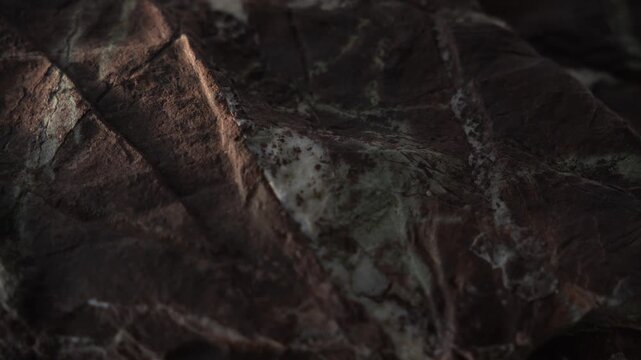 Macro glide across weathered stone with green background