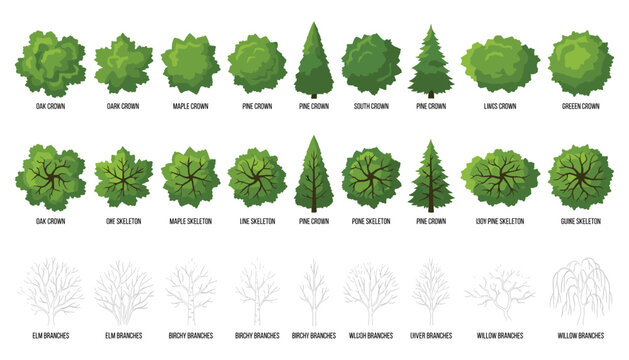 Set of top down view tree and branch symbols in vector format for architectural landscape design on transparent background.