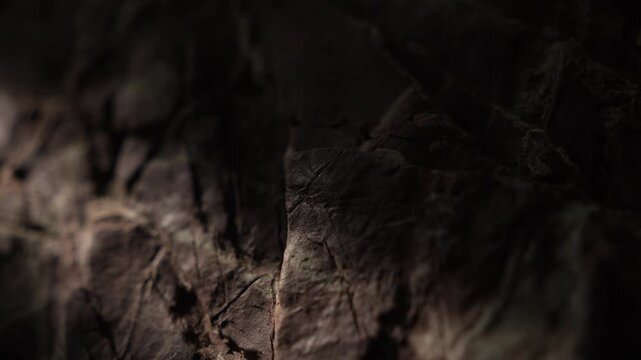 Moving sunlight across weathered stone surface