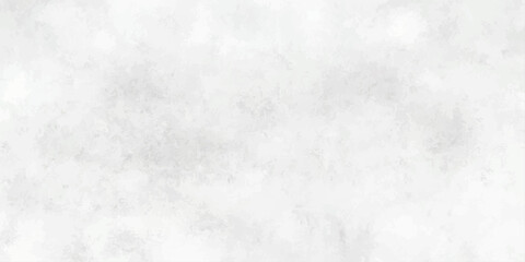 Obraz premium Abstract white and gray watercolor texture with subtle brush strokes and a soft, diffused lighting effect, ideal for backgrounds or artistic projects.
