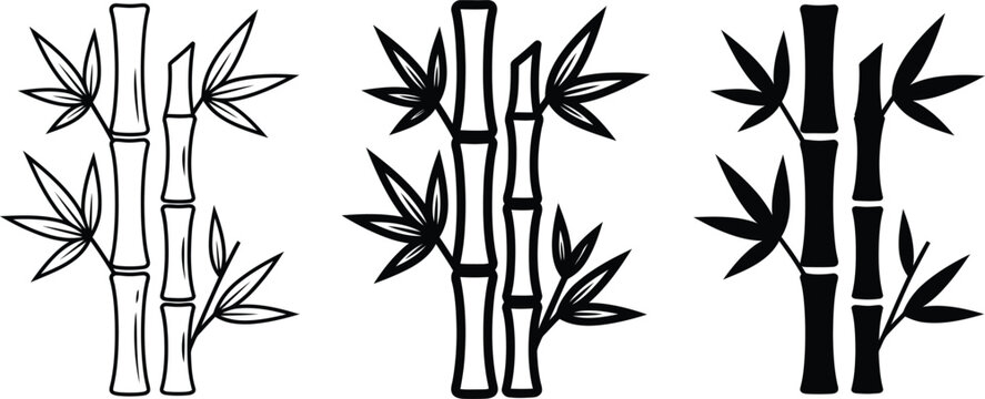 Bamboo stalks, black and white vector illustrations, tropical plant, botanical icons, 3 styles