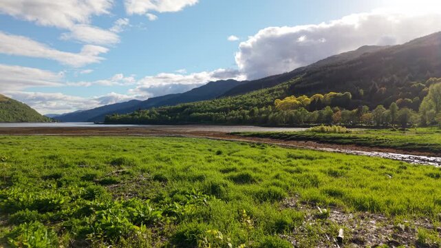 Low-altitude drone shot flying slowly over lush green marsh grass toward Loch Long and the wooded slopes of the Arrochar Alps on a bright summer evening.