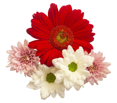 Fresh Cut Flowers Top View Angle for Wedding Card Ornamental or Wedding Elemental