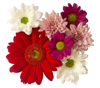 Fresh Cut Flowers Top View Angle for Wedding Card Ornamental or Wedding Ornamental