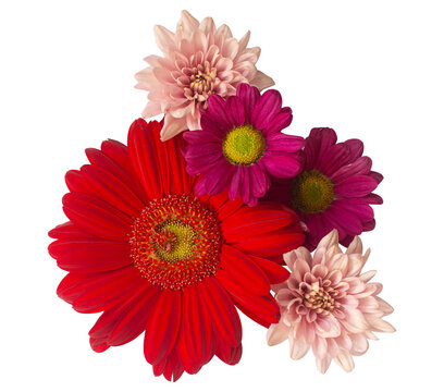 Fresh Cut Flowers Top View Angle for Wedding Card Ornamental or Wedding Background