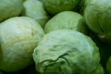 Fototapeta premium Pile of whole white cabbage heads forming natural leafy pattern for grocery, farming, harvest, low cost seasonal vegetable, fermentation, coleslaw and traditional food themes